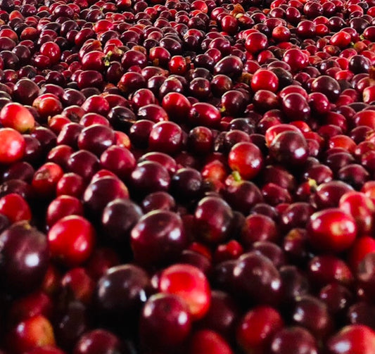 Castillo Natural Anaerobic