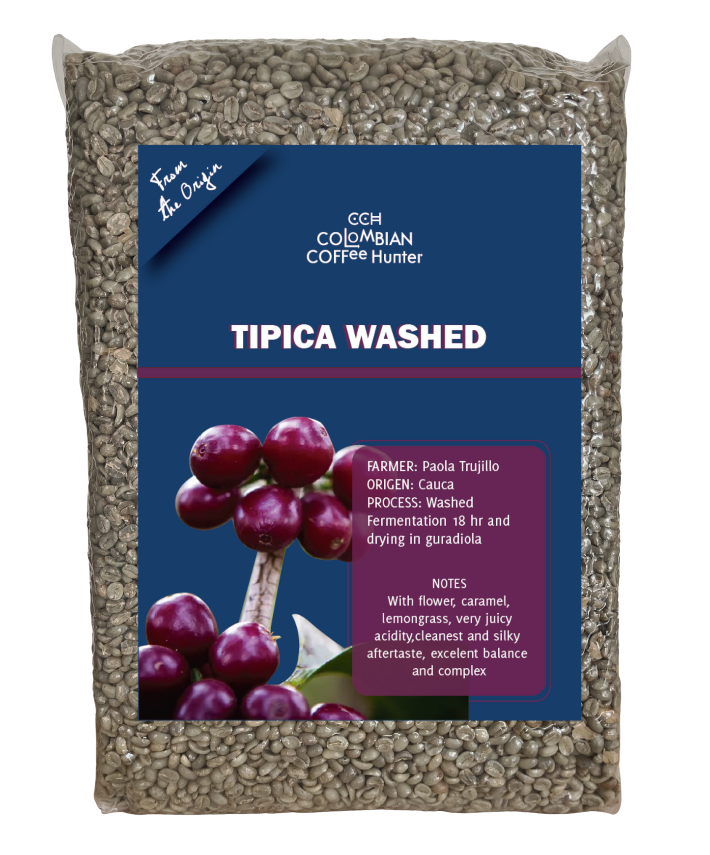 Typica Washed