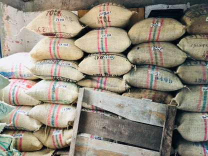 Typica Washed