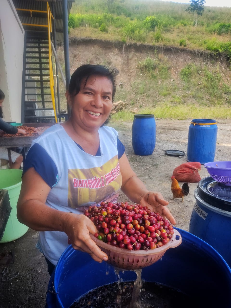 Caturra Natural 120 HR