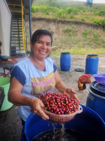 Caturra Natural 120 HR
