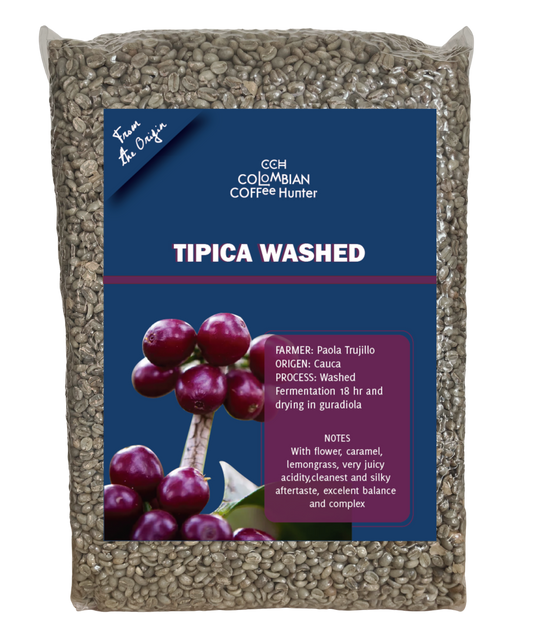Typica Washed